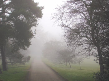 misty path