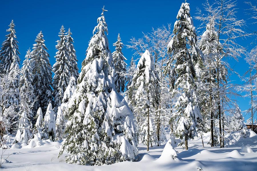 Christmas-snow-links