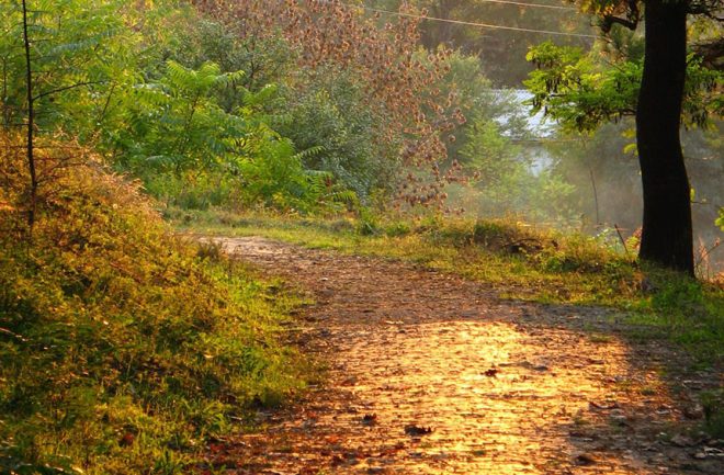 autumn-path