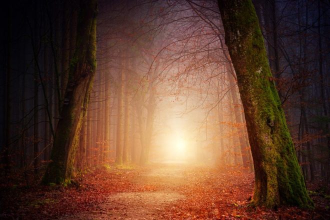 nature-1024